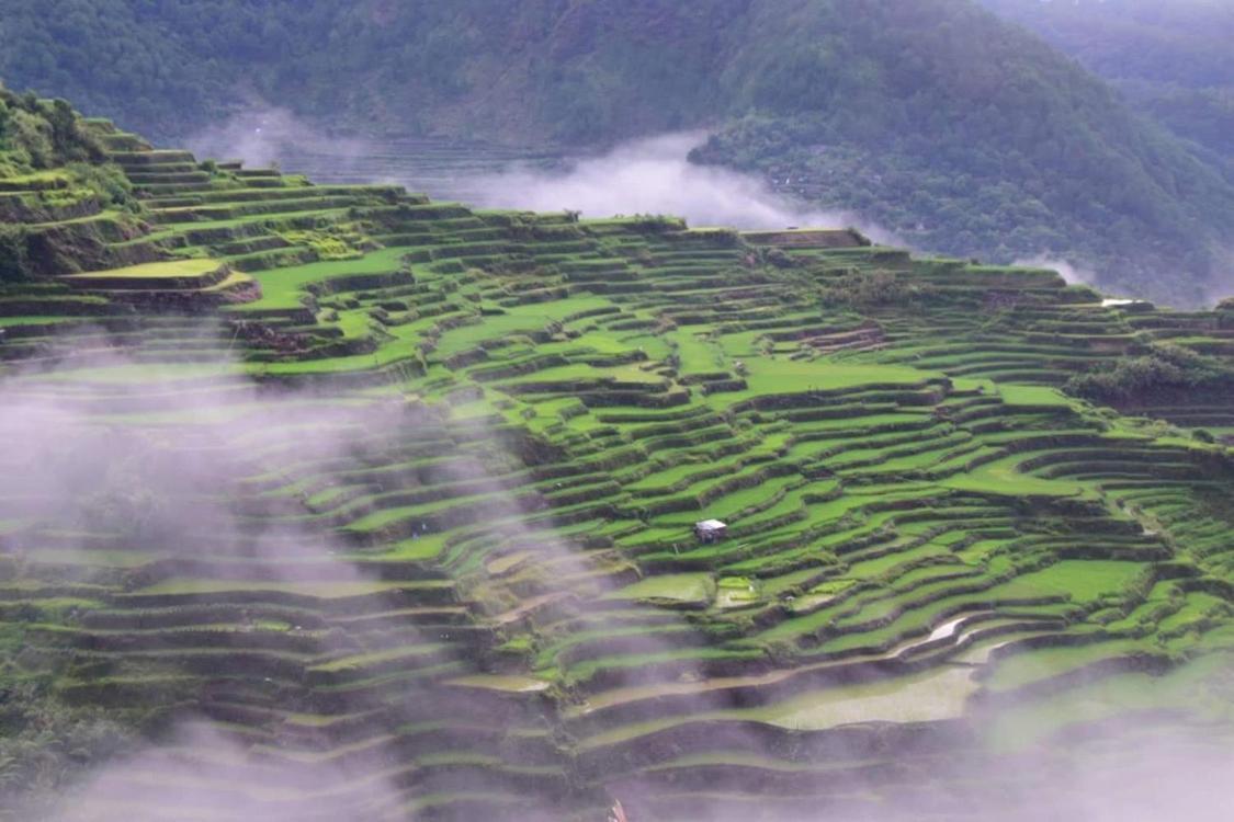 Vilma'S Homestay Bontoc  Экстерьер фото